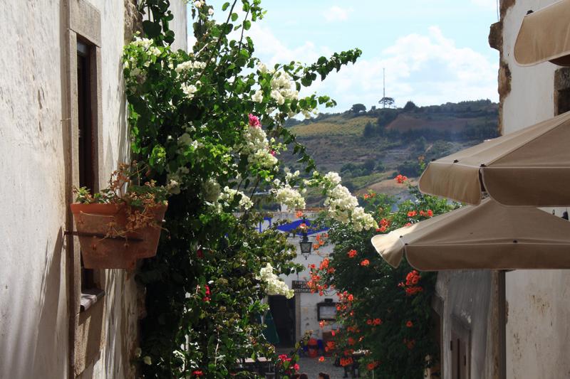 367-Obidos,29 agosto 2012.JPG